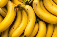 aliments-riches-en-potassium