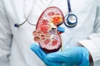 clairance-de-la-creatinine