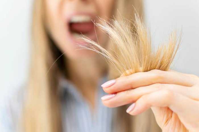 Cheveux cassants : soins et solutions pour éviter qu’ils tombent