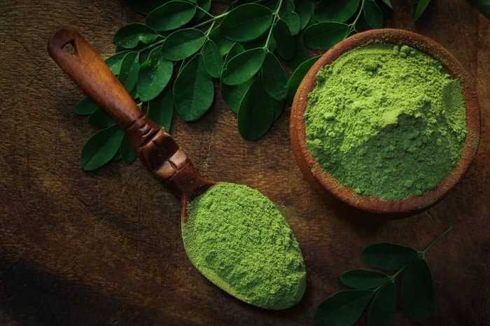 Moringa : bienfaits, précautions et comment le consommer